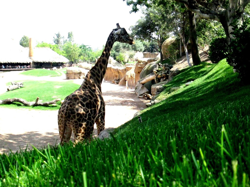 Bioparc