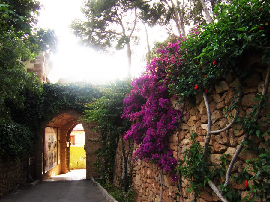 Denia Castle